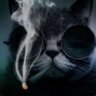 danya26021
