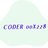 coder00228