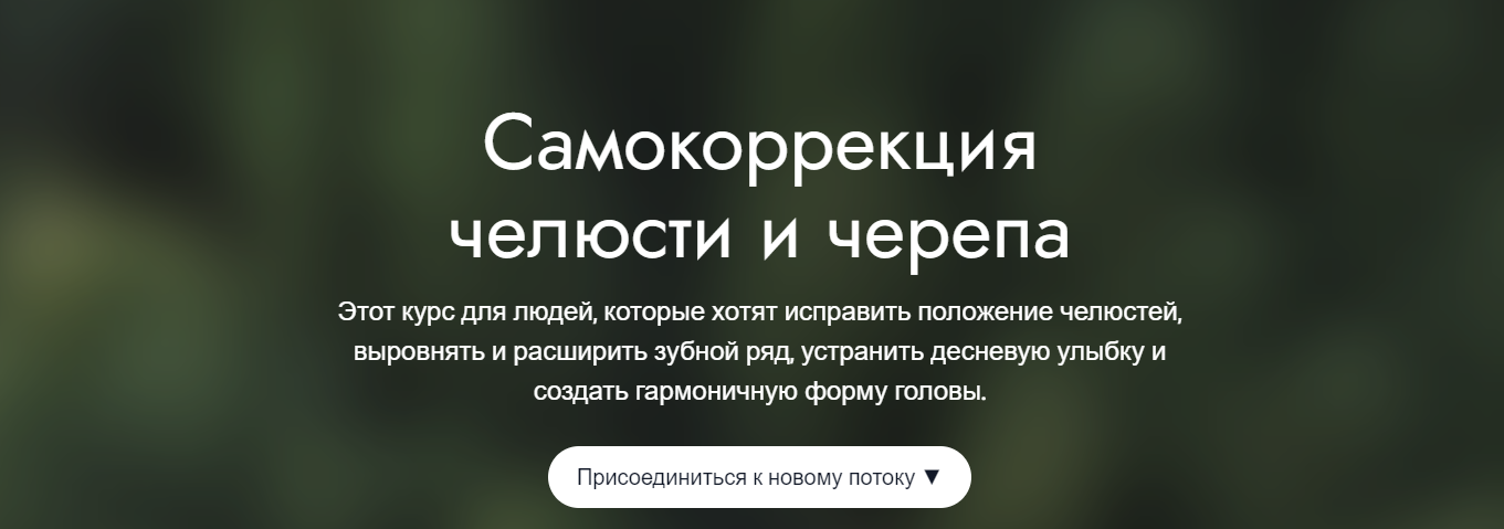 1761797324891-png.68409