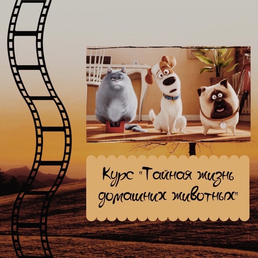[IMG]